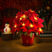 Veyra – Radiant Ruby Poinsettia Lamp