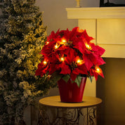 Veyra – Radiant Ruby Poinsettia Lamp
